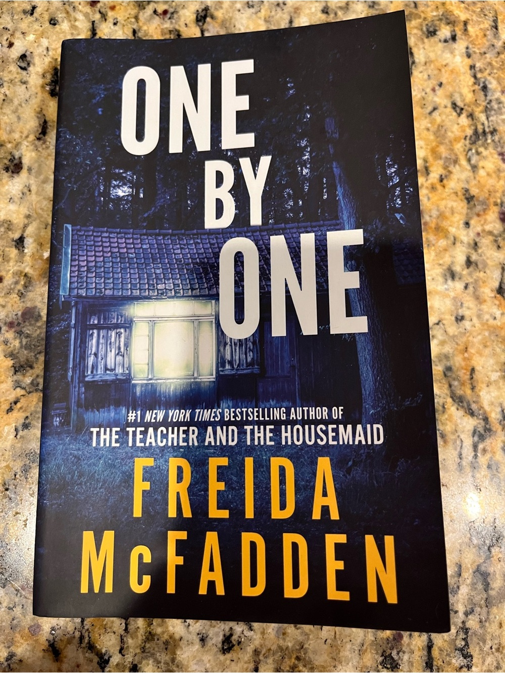 One by One book by Freida McFadden